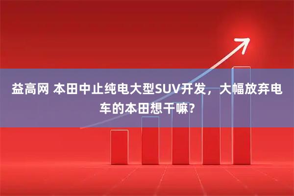 益高网 本田中止纯电大型SUV开发，大幅放弃电车的本田想干嘛？